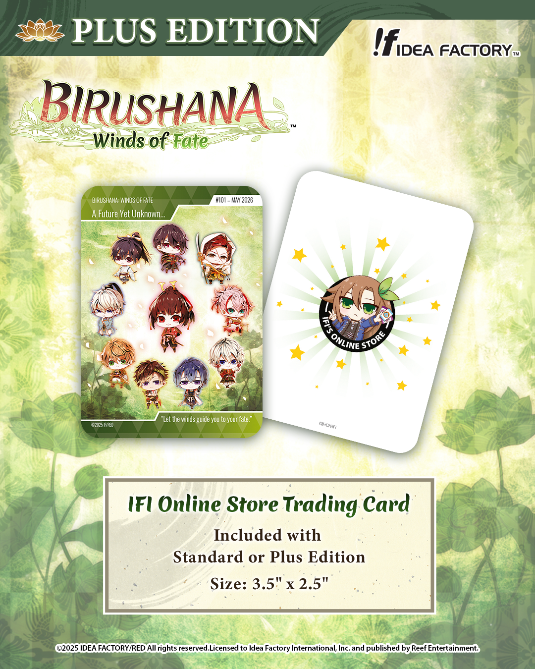 Birushana: Winds of Fate - Standard Edition - Nintendo Switch™