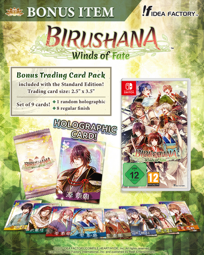 Birushana: Winds of Fate - Standard Edition - Nintendo Switch™