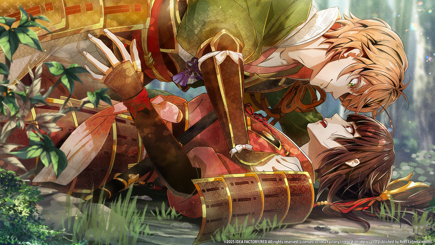 Birushana: Winds of Fate - Standard Edition - Nintendo Switch™